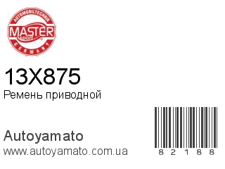 13X875 (MASTER SPORT)